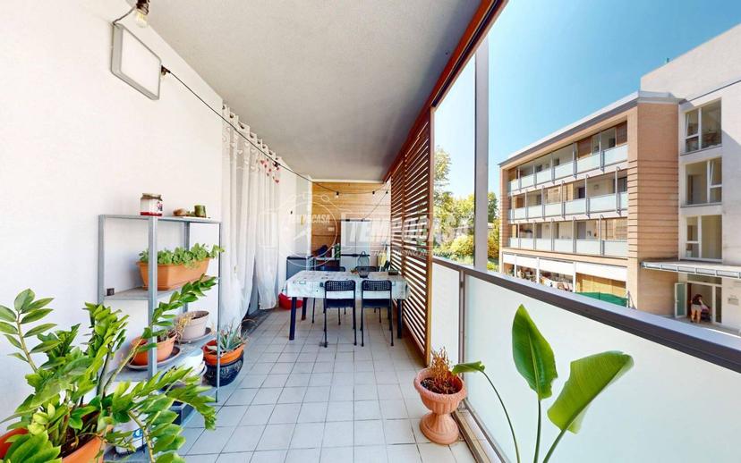 Trilocale viale Monte Grappa 1, Centro, Novellara — foto 11 di 18