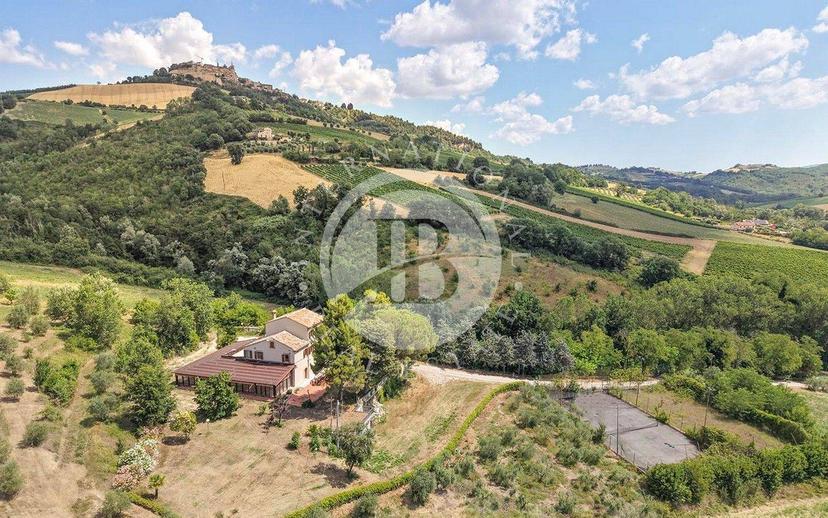 Casale, ottimo stato, 600 m², Montedinove — foto 13 di 32