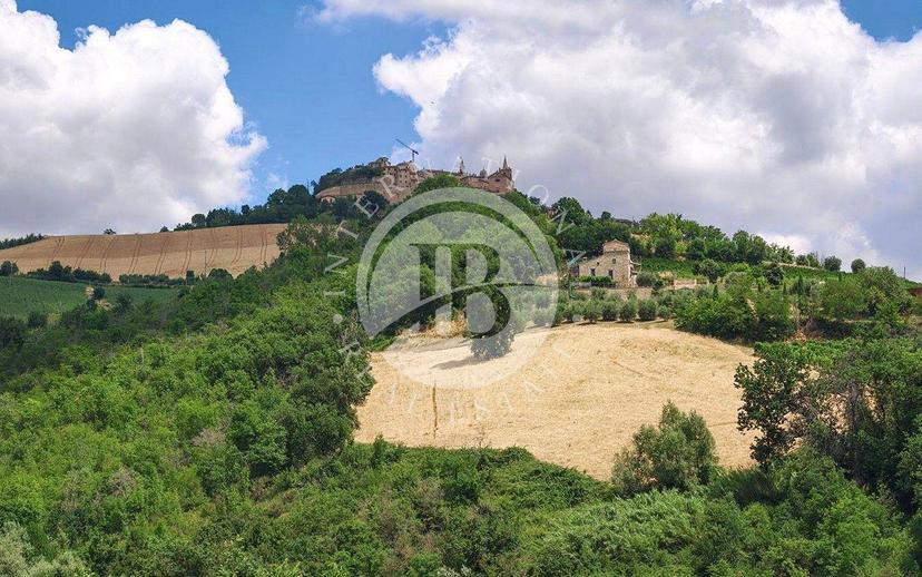 Casale, ottimo stato, 600 m², Montedinove — foto 31 di 32