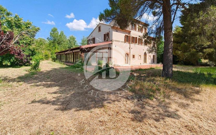 Casale, ottimo stato, 600 m², Montedinove — foto 2 di 32