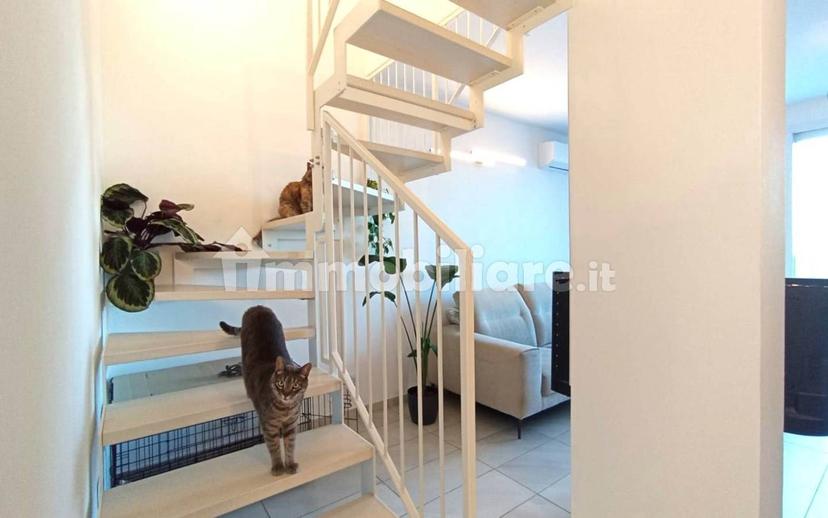 Villa a schiera 3 locali, nuova, Montescudo, Montescudo - Montecolombo — foto 26 di 26