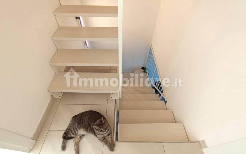 Villa a schiera 3 locali, nuova, Montescudo, Montescudo - Montecolombo — foto 24 di 26