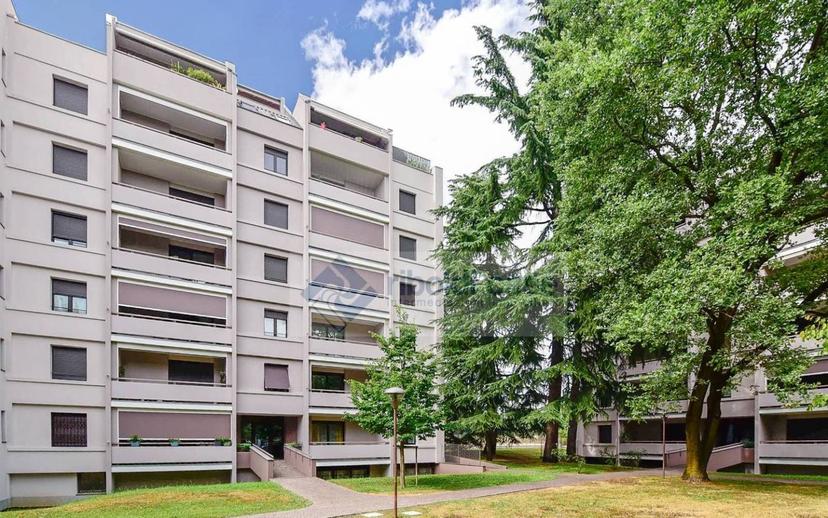 Quadrilocale via Tiziano Vecellio, Buonarroti, Monza — foto 13 di 36