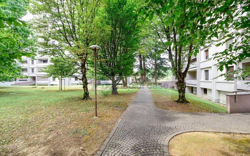Quadrilocale via Tiziano Vecellio, Buonarroti, Monza — foto 11 di 36