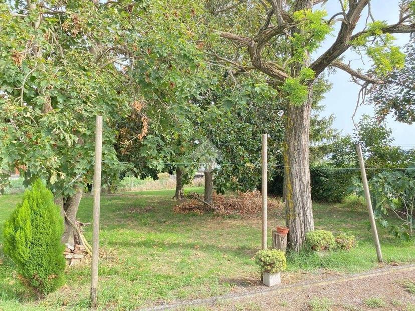 Casa colonica via Pontisette, Casaglia, Ferrara — foto 41 di 50