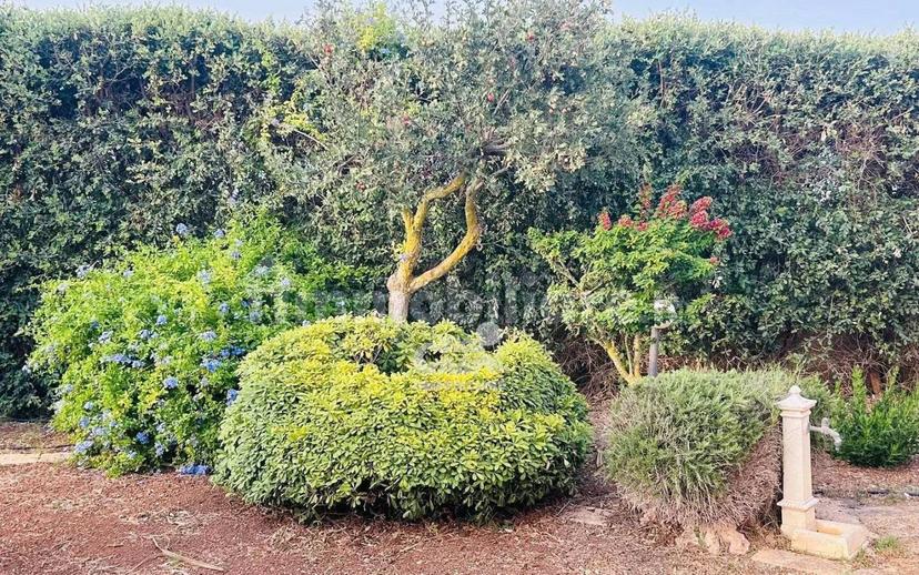 Villa unifamiliare, ottimo stato, 130 m², Stagnone, Marsala — foto 33 di 47