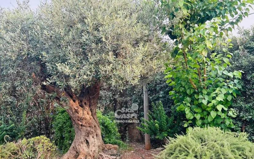 Villa unifamiliare, ottimo stato, 130 m², Stagnone, Marsala — foto 39 di 47