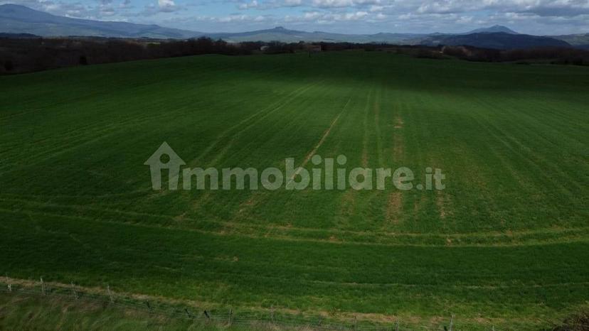 Casale Strada della Falconeria, Acquapendente — foto 62 di 79