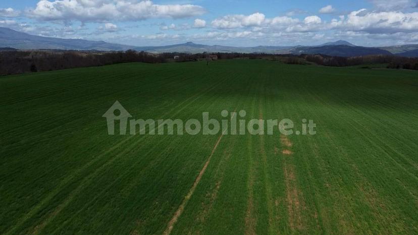 Casale Strada della Falconeria, Acquapendente — foto 31 di 79