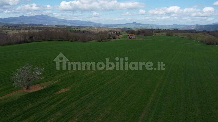 Casale Strada della Falconeria, Acquapendente — foto 58 di 79