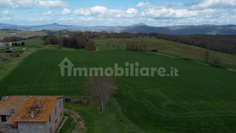 Casale Strada della Falconeria, Acquapendente — foto 36 di 79