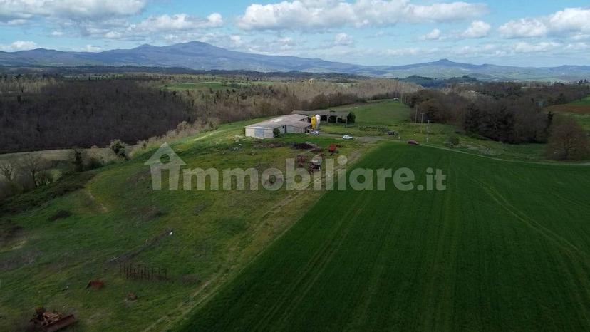 Casale Strada della Falconeria, Acquapendente — foto 33 di 79