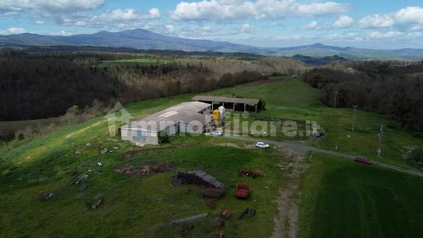 Casale Strada della Falconeria, Acquapendente — foto 54 di 79