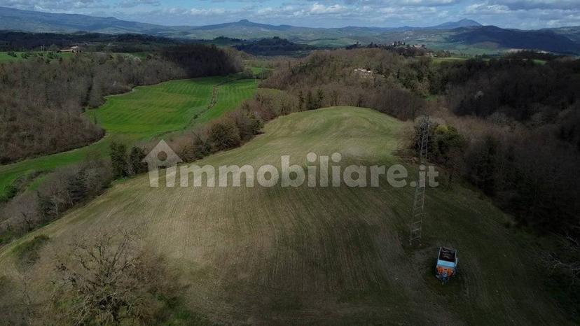 Casale Strada della Falconeria, Acquapendente — foto 23 di 79