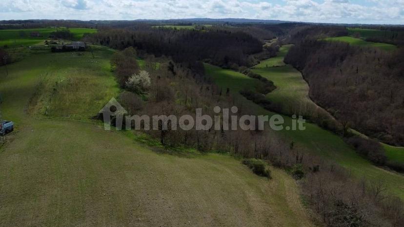 Casale Strada della Falconeria, Acquapendente — foto 8 di 79