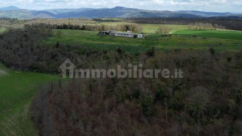 Casale Strada della Falconeria, Acquapendente — foto 6 di 79