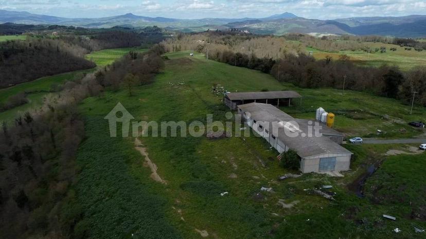 Casale Strada della Falconeria, Acquapendente — foto 63 di 79