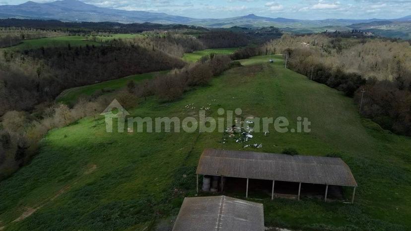 Casale Strada della Falconeria, Acquapendente — foto 5 di 79
