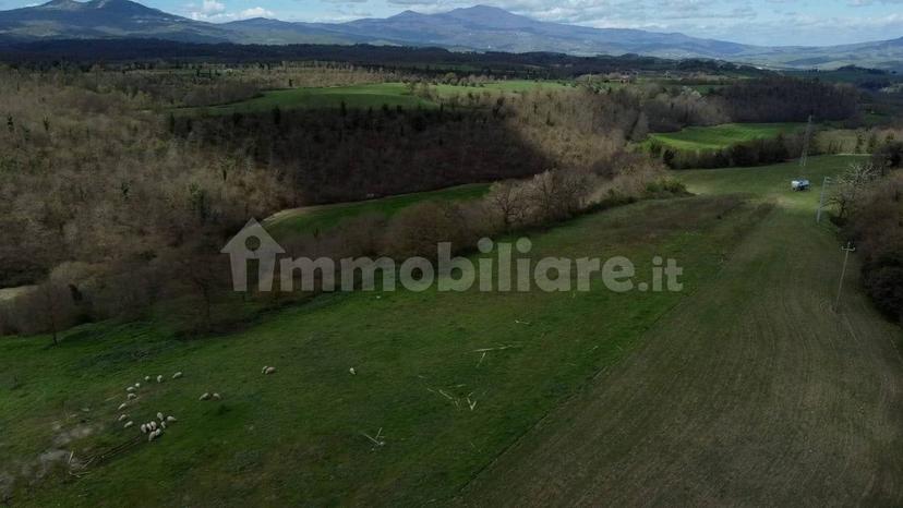 Casale Strada della Falconeria, Acquapendente — foto 55 di 79