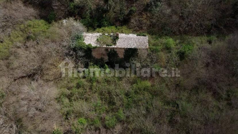 Casale Strada della Falconeria, Acquapendente — foto 18 di 79