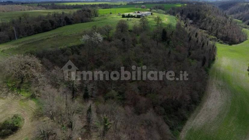 Casale Strada della Falconeria, Acquapendente — foto 7 di 79