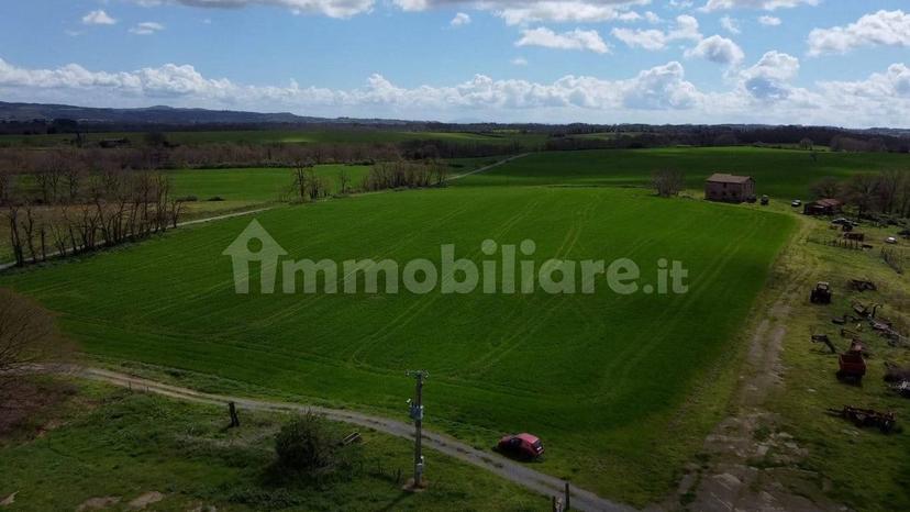 Casale Strada della Falconeria, Acquapendente — foto 66 di 79