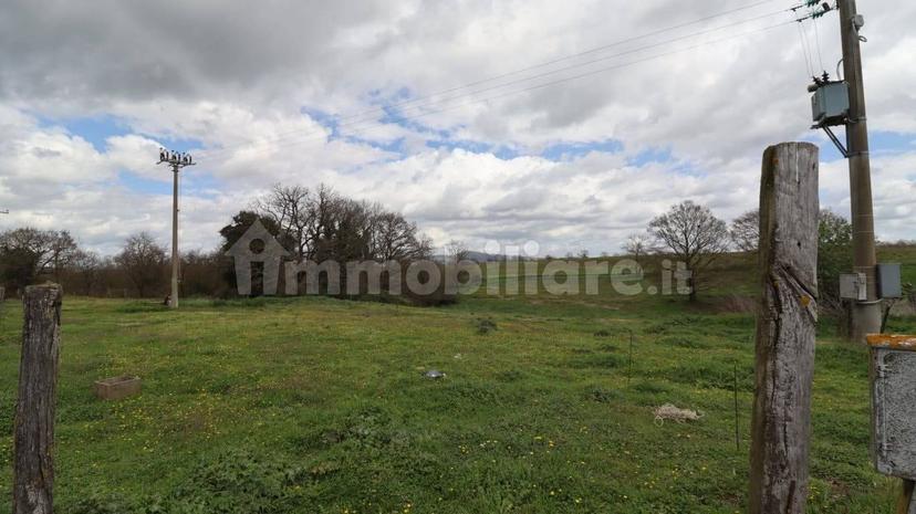 Casale Strada della Falconeria, Acquapendente — foto 9 di 79