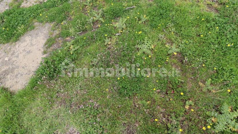Casale Strada della Falconeria, Acquapendente — foto 69 di 79