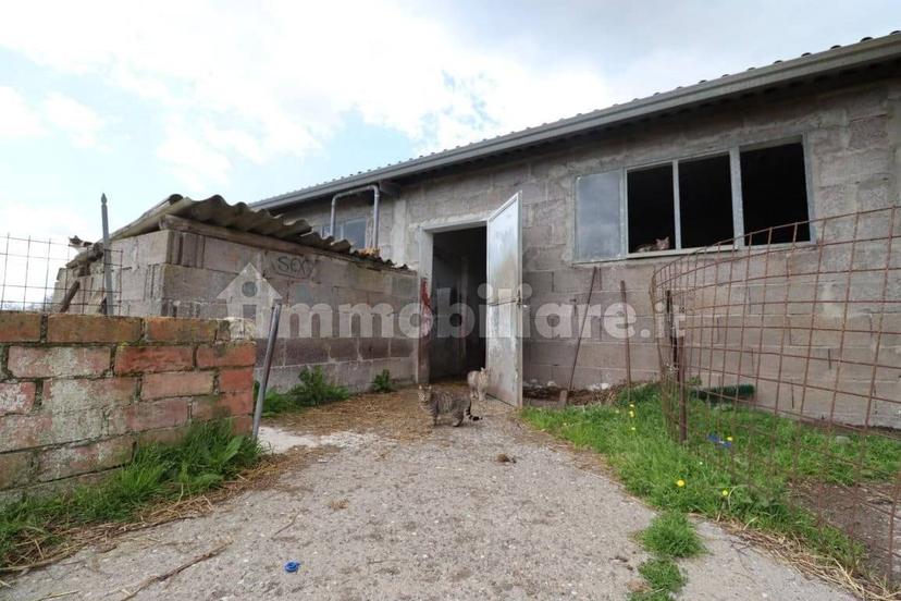 Casale Strada della Falconeria, Acquapendente — foto 37 di 79
