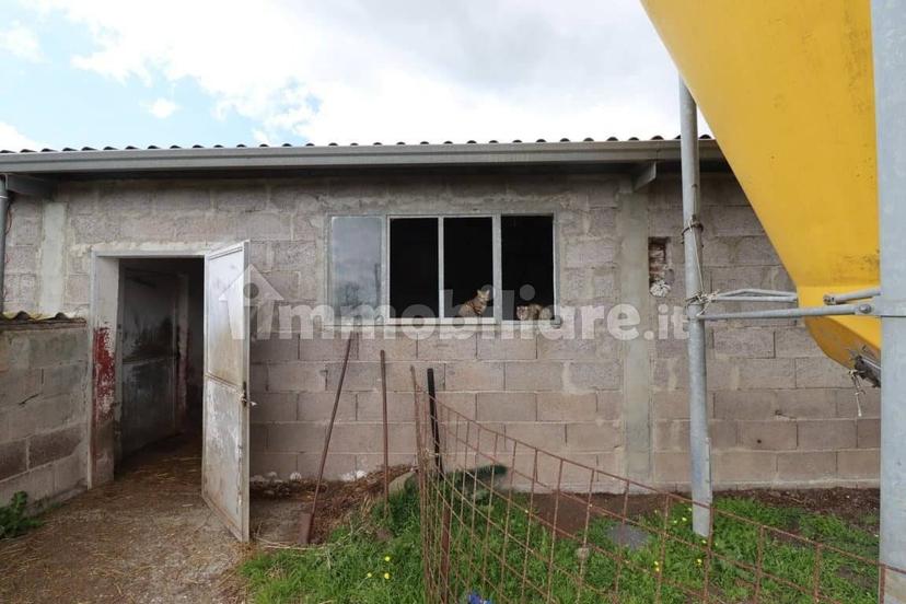 Casale Strada della Falconeria, Acquapendente — foto 20 di 79