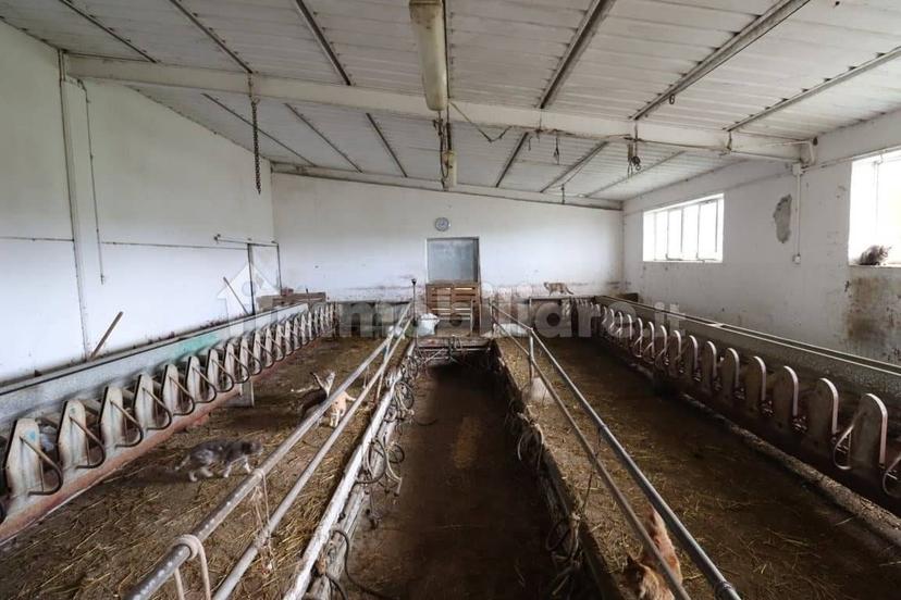 Casale Strada della Falconeria, Acquapendente — foto 68 di 79