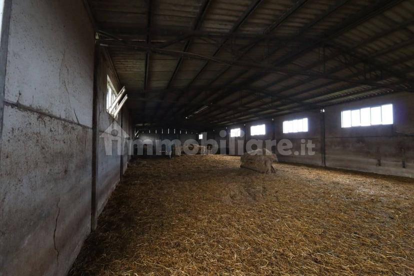 Casale Strada della Falconeria, Acquapendente — foto 56 di 79