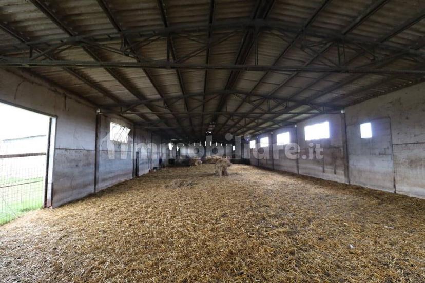 Casale Strada della Falconeria, Acquapendente — foto 64 di 79