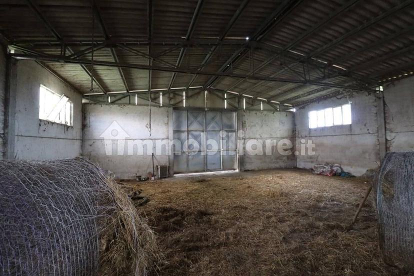 Casale Strada della Falconeria, Acquapendente — foto 11 di 79