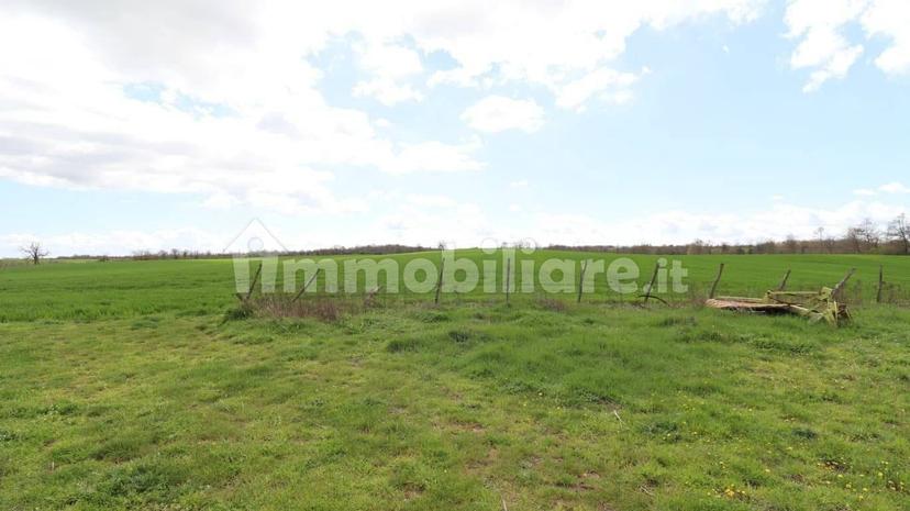 Casale Strada della Falconeria, Acquapendente — foto 25 di 79