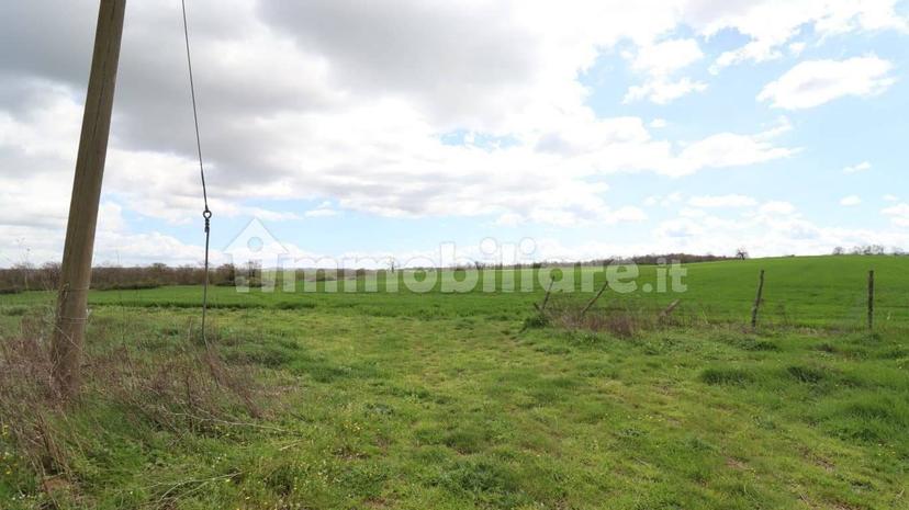 Casale Strada della Falconeria, Acquapendente — foto 17 di 79
