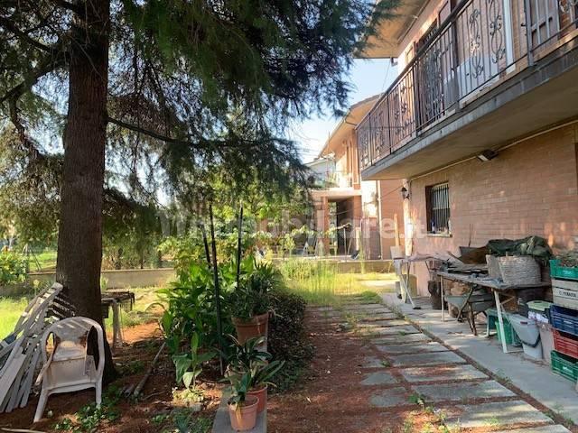 Villa unifamiliare via Elsa Conci 33, Porto Fuori, Ravenna — foto 18 di 18