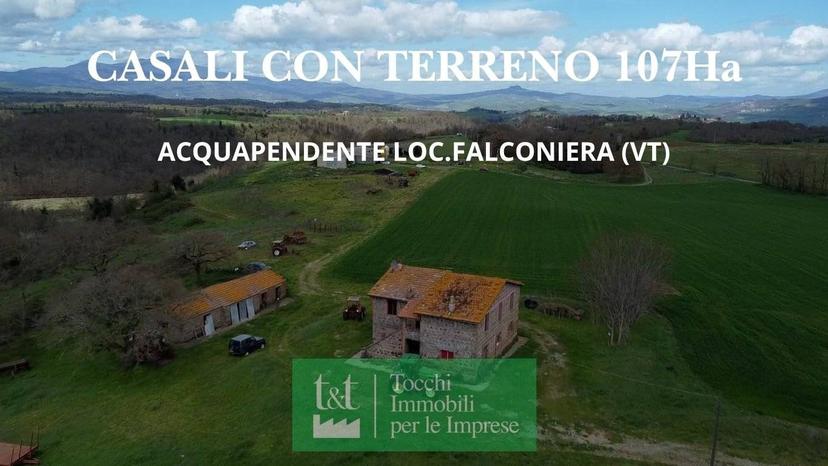 Casale Strada della Falconeria, Acquapendente — foto 76 di 79