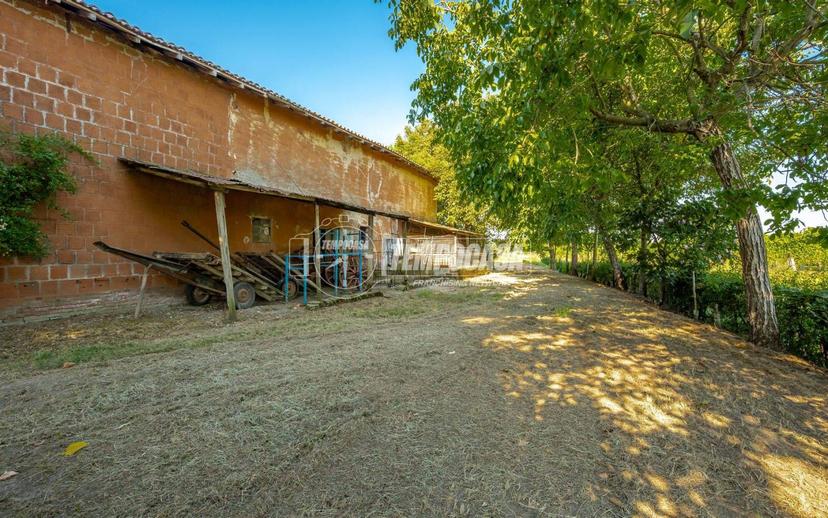 Rustico via Olmo, Gaggio 31, Castelfranco Emilia — foto 17 di 22
