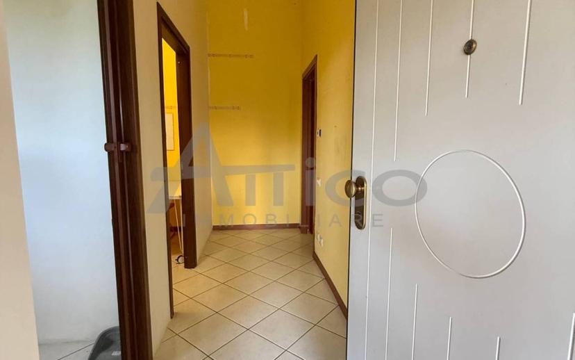 Villa unifamiliare viale delle Industrie RO, Borsea, Santa Rita, Rovigo — foto 7 di 11