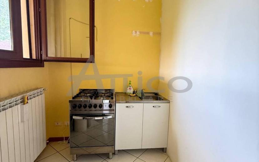 Villa unifamiliare viale delle Industrie RO, Borsea, Santa Rita, Rovigo — foto 5 di 11