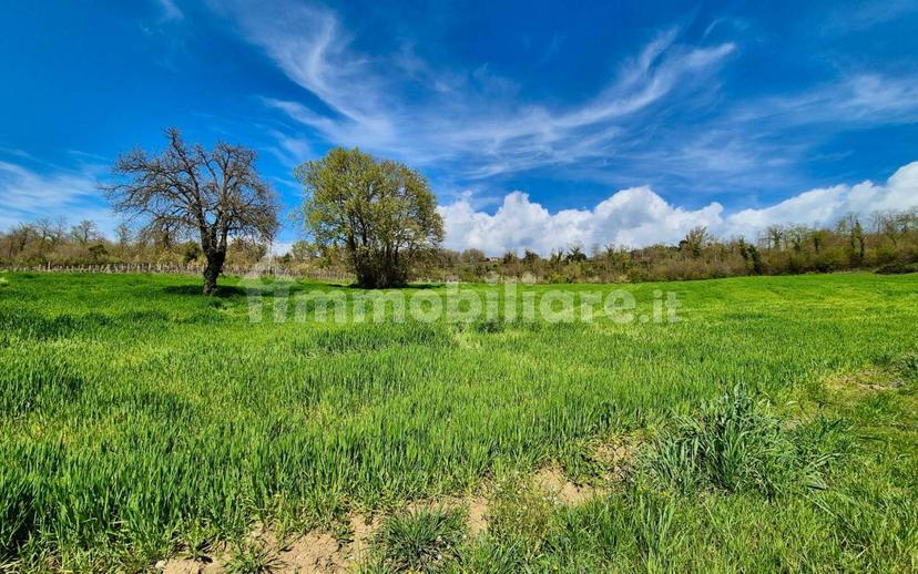 Casale Località Vasciano, Todi — foto 46 di 46