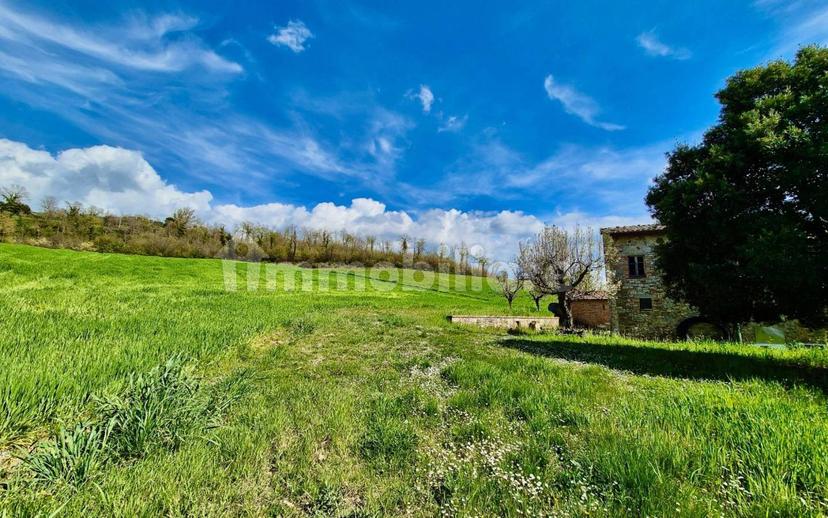 Casale Località Vasciano, Todi — foto 29 di 46
