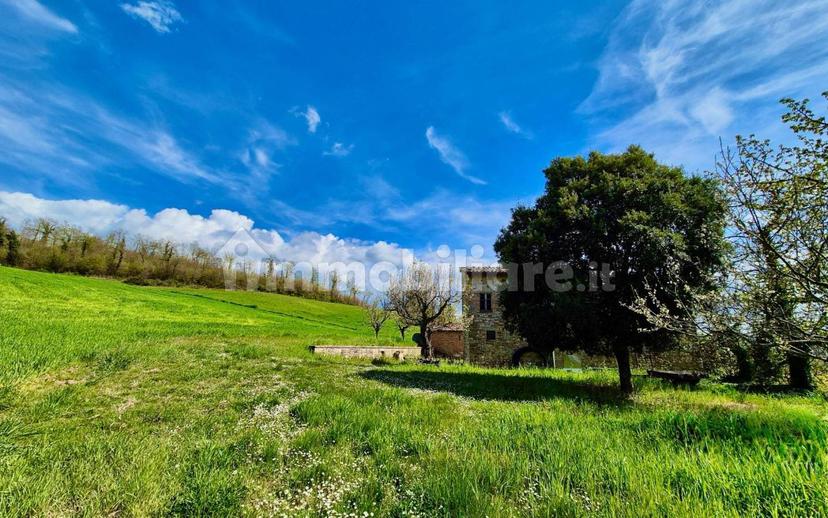 Casale Località Vasciano, Todi — foto 25 di 46