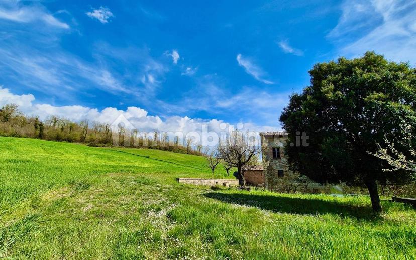 Casale Località Vasciano, Todi — foto 31 di 46