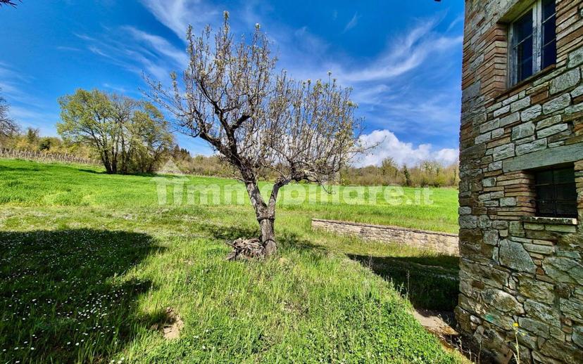 Casale Località Vasciano, Todi — foto 40 di 46