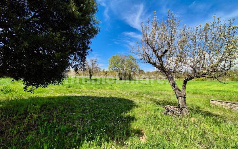 Casale Località Vasciano, Todi — foto 3 di 46