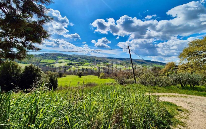 Casale Località Vasciano, Todi — foto 36 di 46