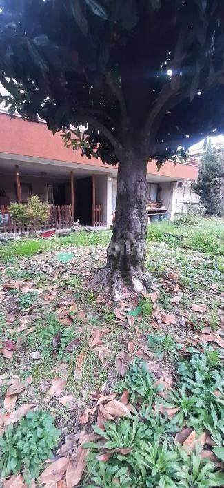 Villa unifamiliare, buono stato, 180 m², Tencarola, Selvazzano Dentro — foto 5 di 9