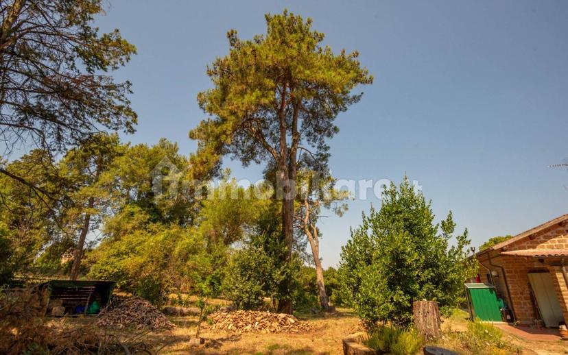 Villa unifamiliare via dei Piani, Nepi — foto 18 di 42